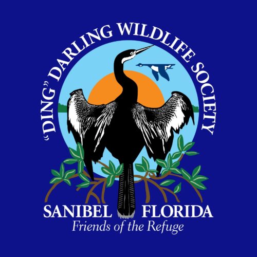 Deadline nearing for ‘Ding’ Darling Refuge photo contest for high schoolers
